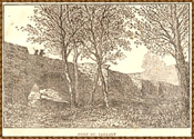 134.jpg