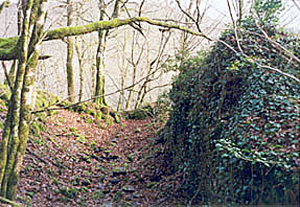 crozes4.jpg
