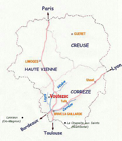limousin1.jpg