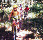 adpa9.jpg