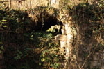 rebiere3.jpg